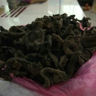黑木耳特级