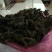 黑木耳特级