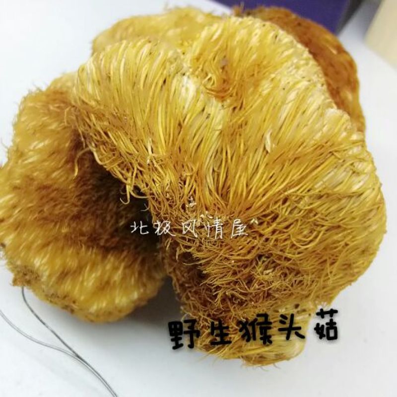 猴头菇