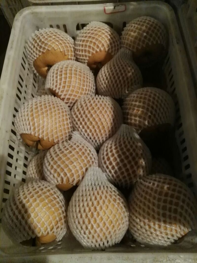 新高梨550~600g纸袋