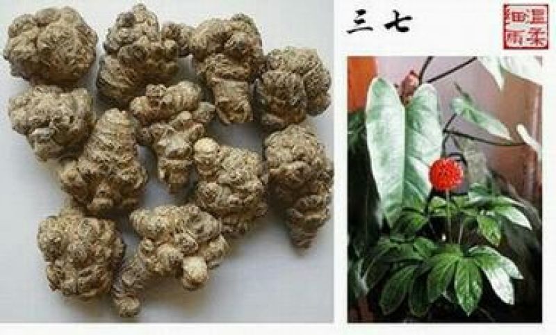 三七