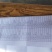 欧洲月季10~20cm