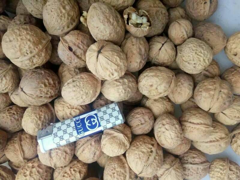 纸皮核桃25mm以下去皮干