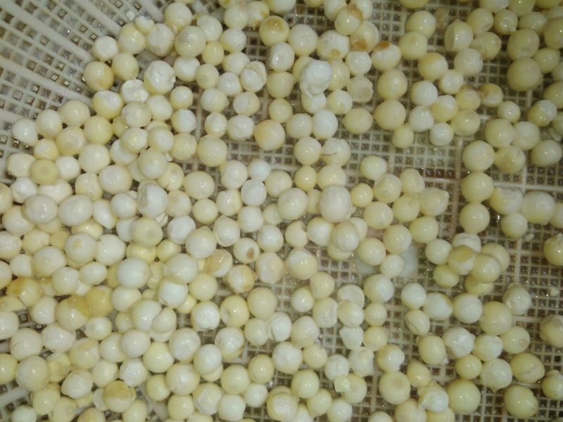 冰鲜芡实大粒米
