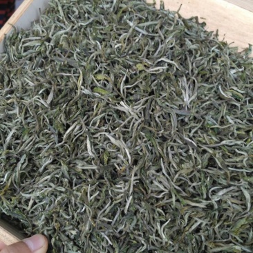 普洱茶散茶