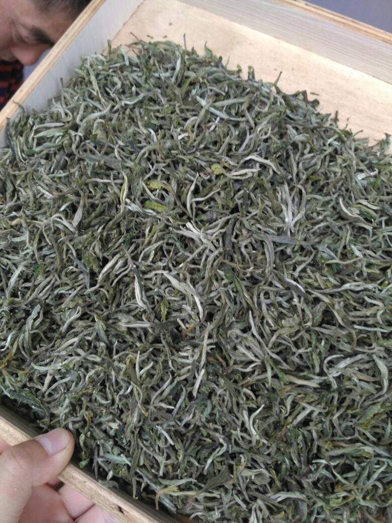 普洱茶散茶