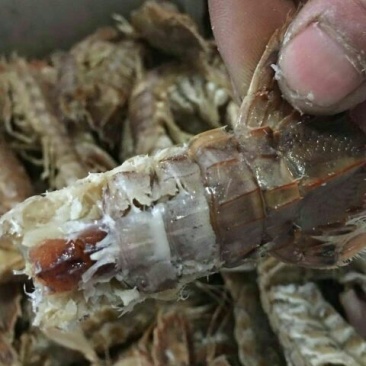 虾皮一级