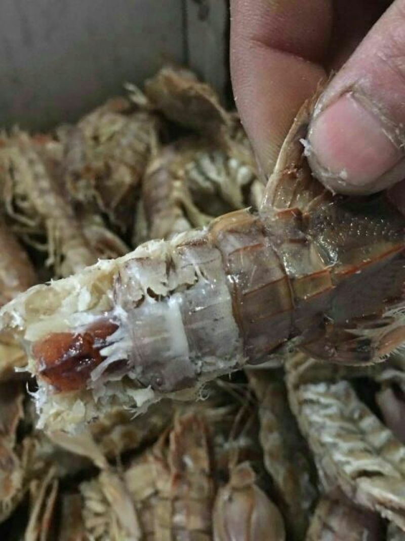 虾皮一级