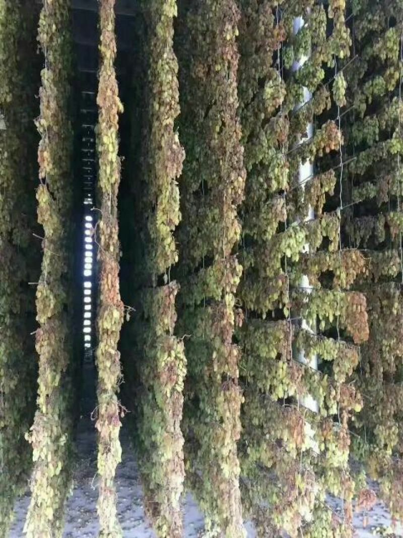 无核葡萄干无核一级