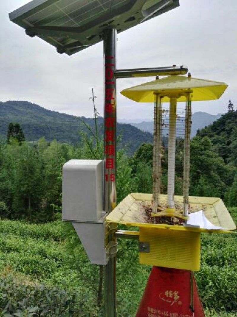 川茶二级