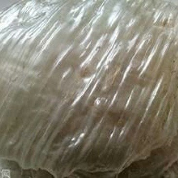 绿豆粉皮包装