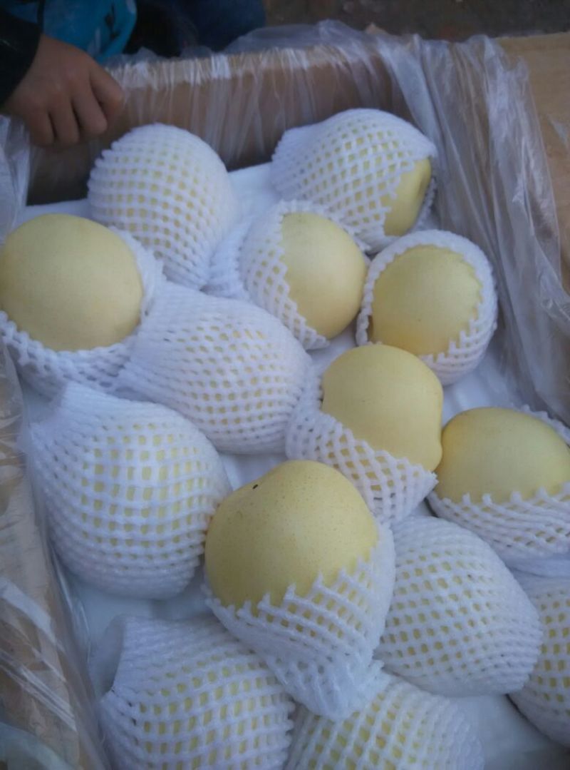 皇冠梨300~350g纸箱