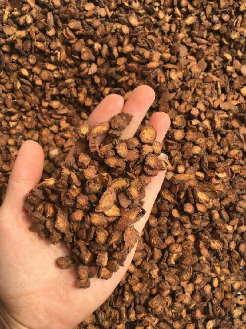 新丹参丹参茶条优质丹参片山东中药材