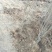 木槿2~4cm4cm以下1.5~2米