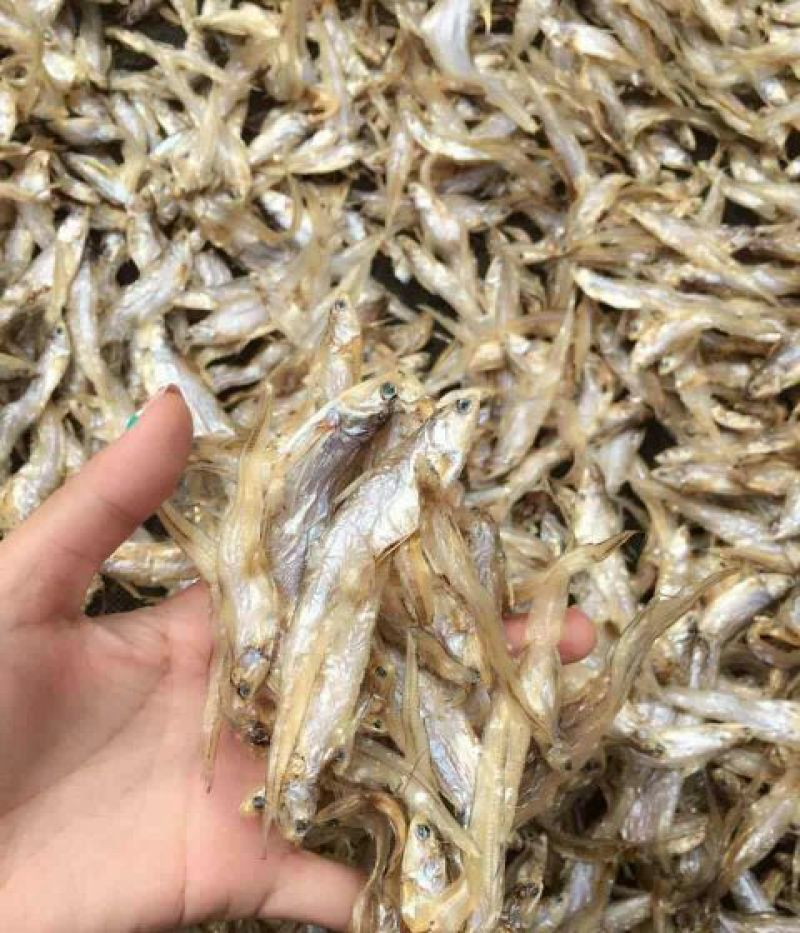 鱼干日晒鱼干