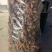 红蘑菇特级3cm