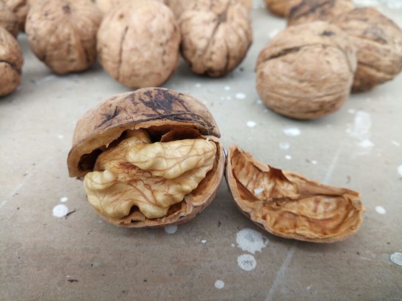 纸皮核桃去皮