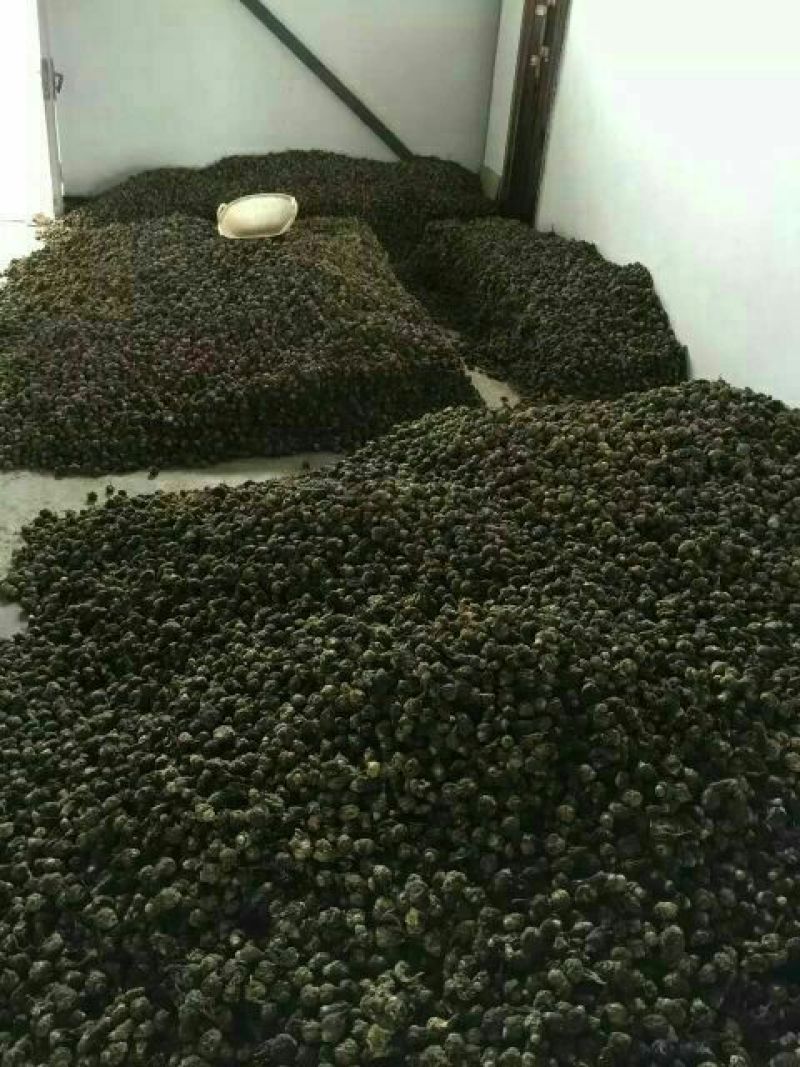 黑玛卡黑色