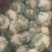 白花菜包装