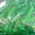 大青椒3cm以上
