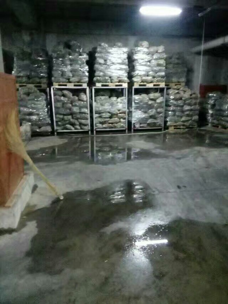 潍县青萝卜0.2~1斤起