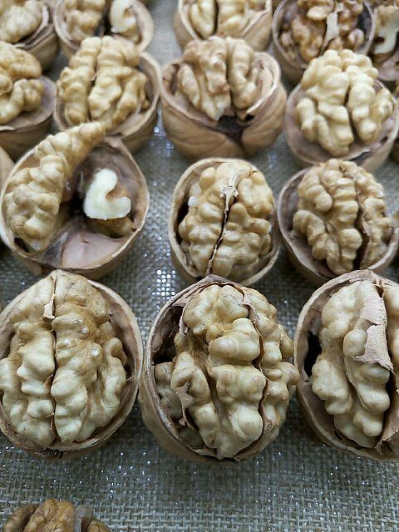 薄皮核桃去皮30mm以上干