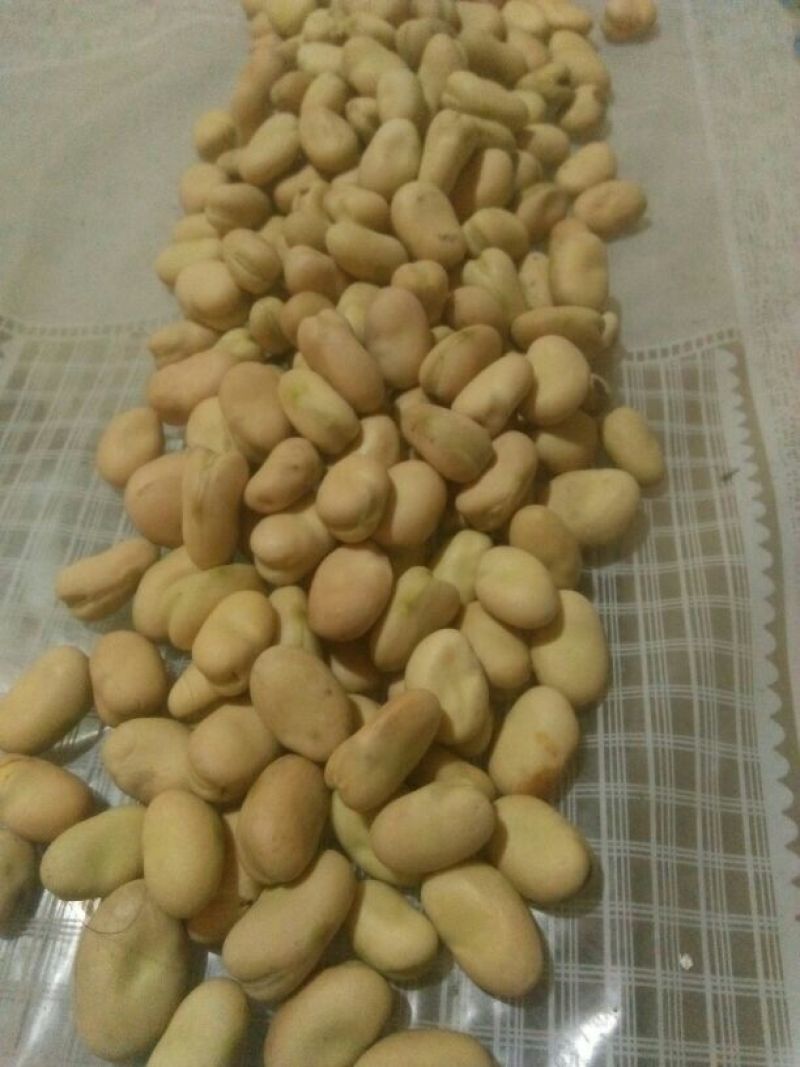 青海蚕豆优等品
