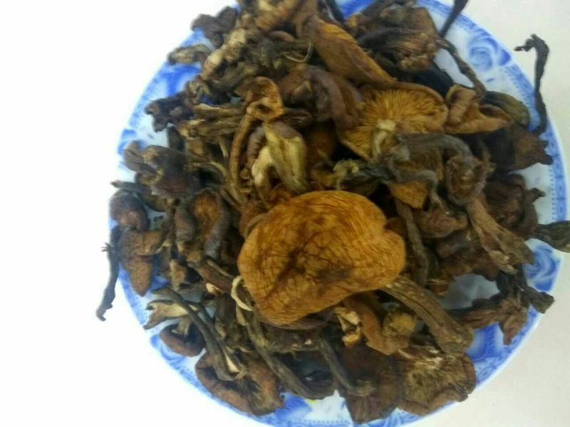 干木耳特级