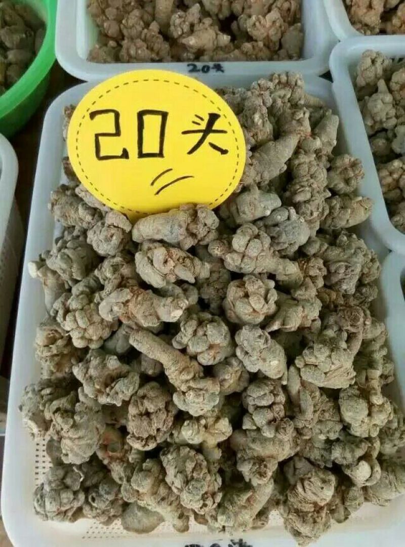 三七20头统货