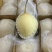 鸭梨200~250g纸箱