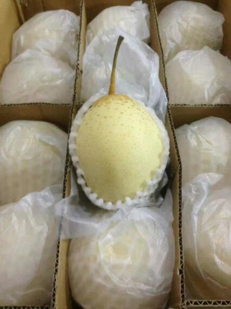鸭梨200~250g纸箱
