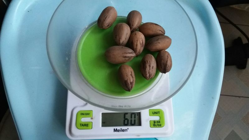 薄皮核桃30mm以上去皮