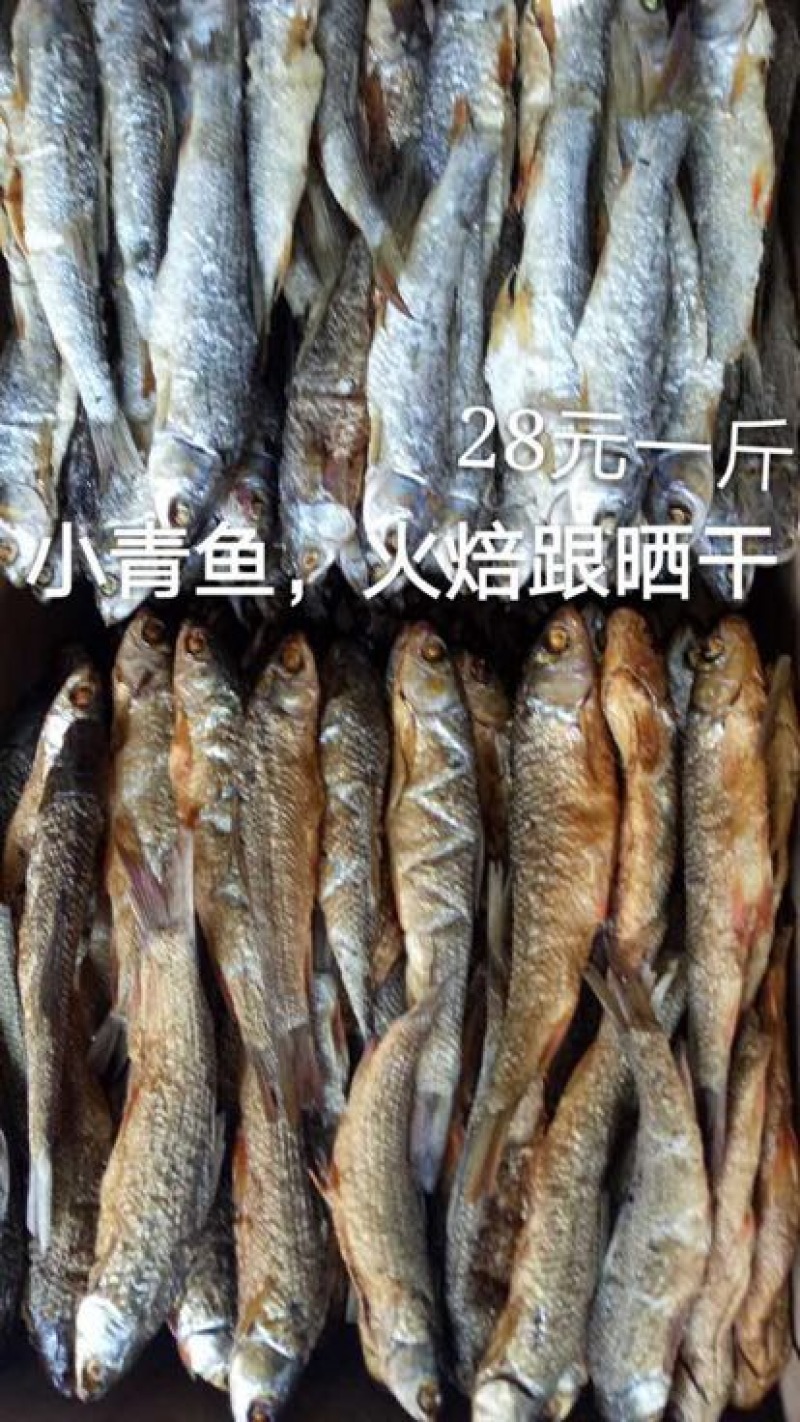 火焙鱼