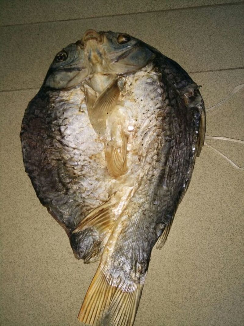 鲤鱼干