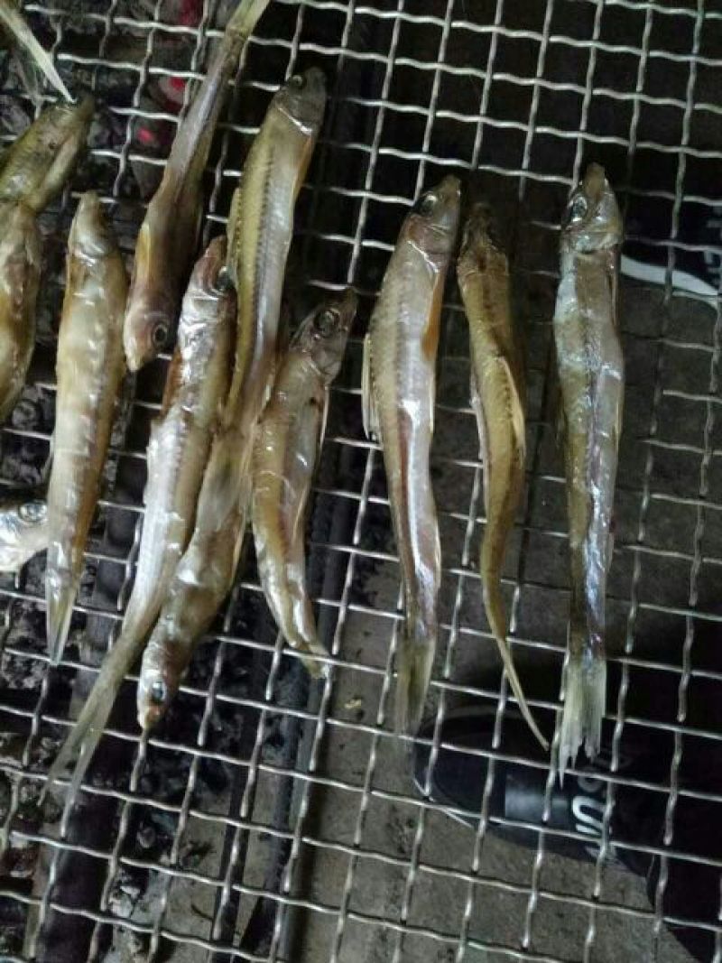 鲤鱼干