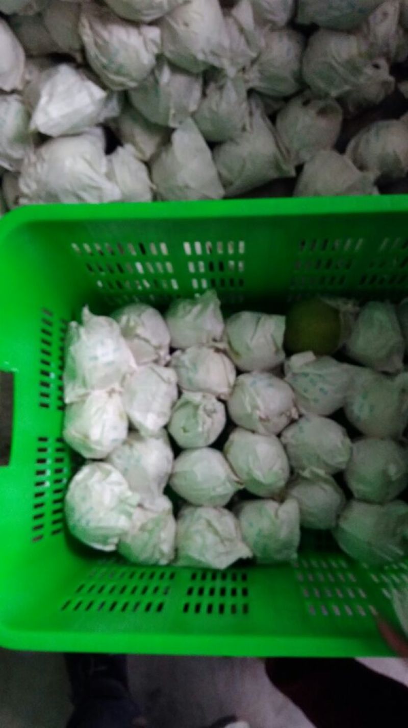 金花梨200~250g光果