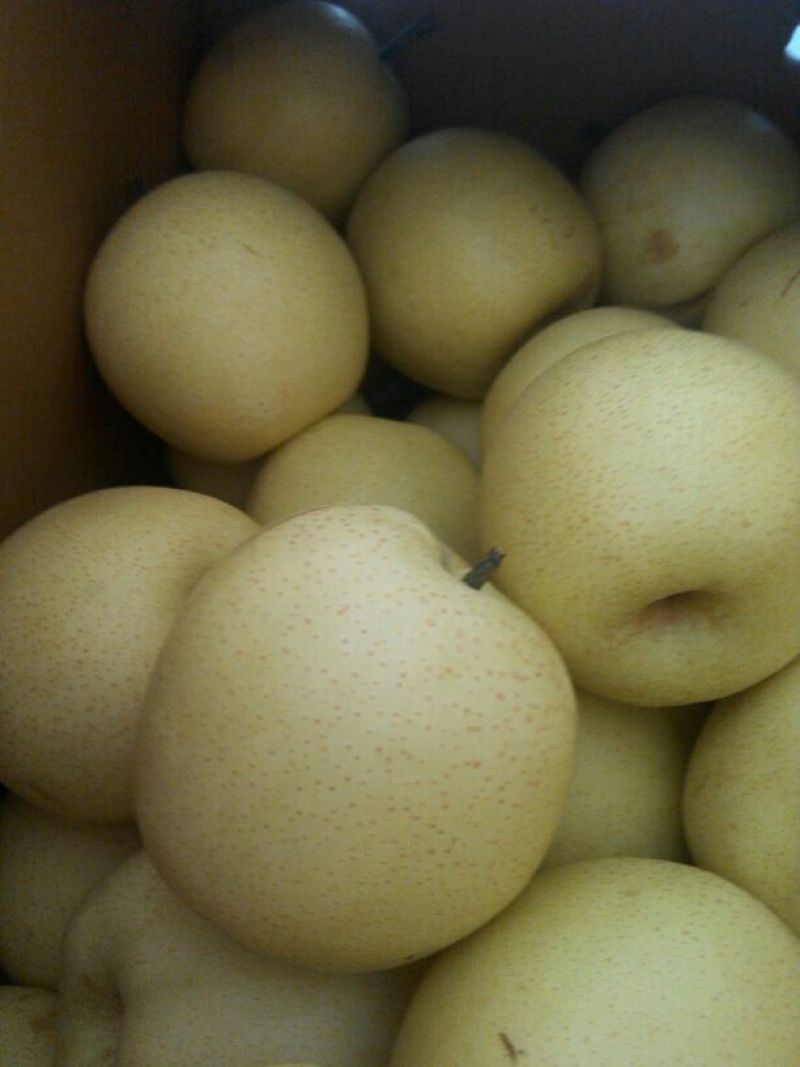 皇冠梨300~350g纸箱