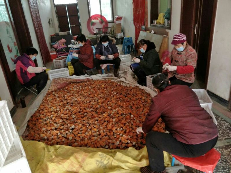 柿饼1~2两