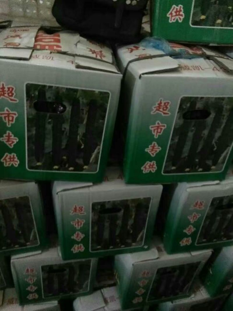 黄瓜河北鲜花带刺25公分以上产地直销包客商满意