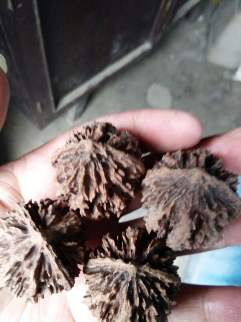 文玩核桃去皮后清洗纯干品