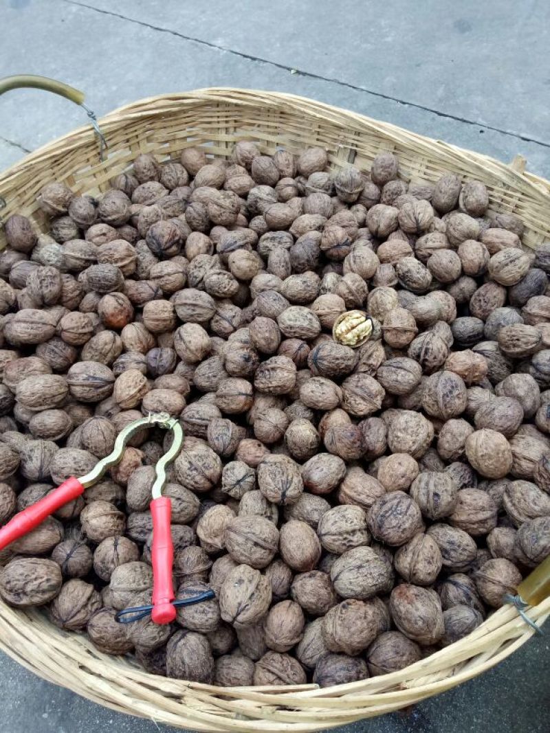 薄皮核桃30mm以上去皮