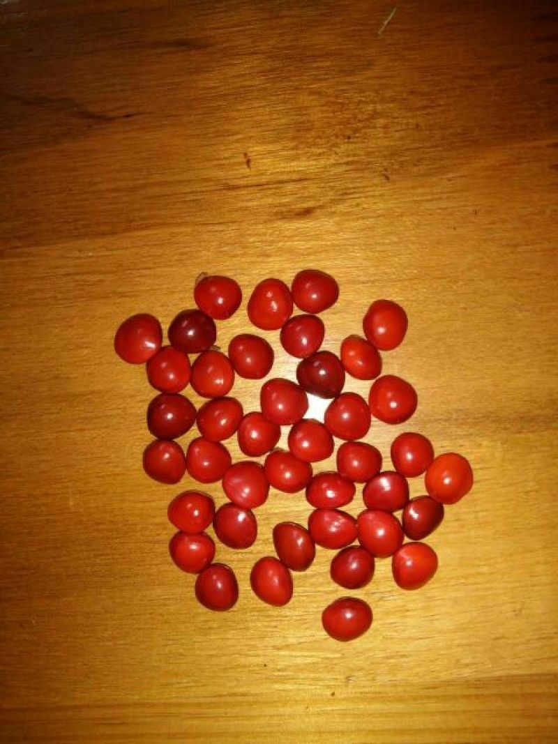 红小豆散装