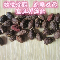 砂仁去壳统进口