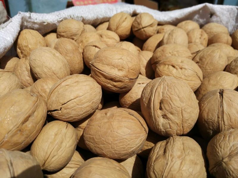 薄皮核桃30mm以上去皮