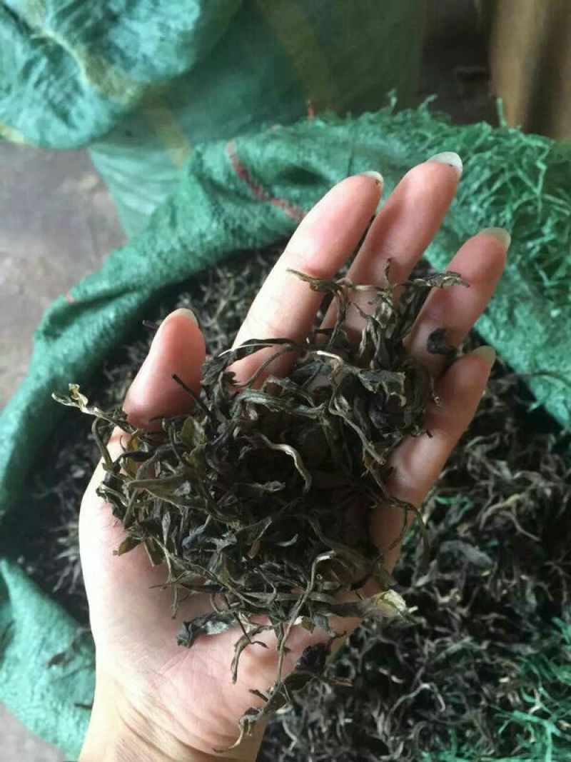 普洱茶