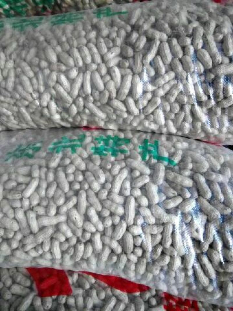 吉林白城洮南四粒红花生果，手选货，通货果，