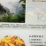 人参果4~5两以上