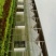 温室大棚连栋温室建造，设计规划及农产品种植技术。