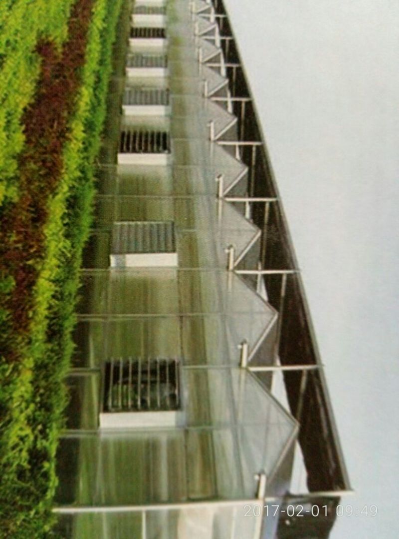 温室大棚连栋温室建造，设计规划及农产品种植技术。