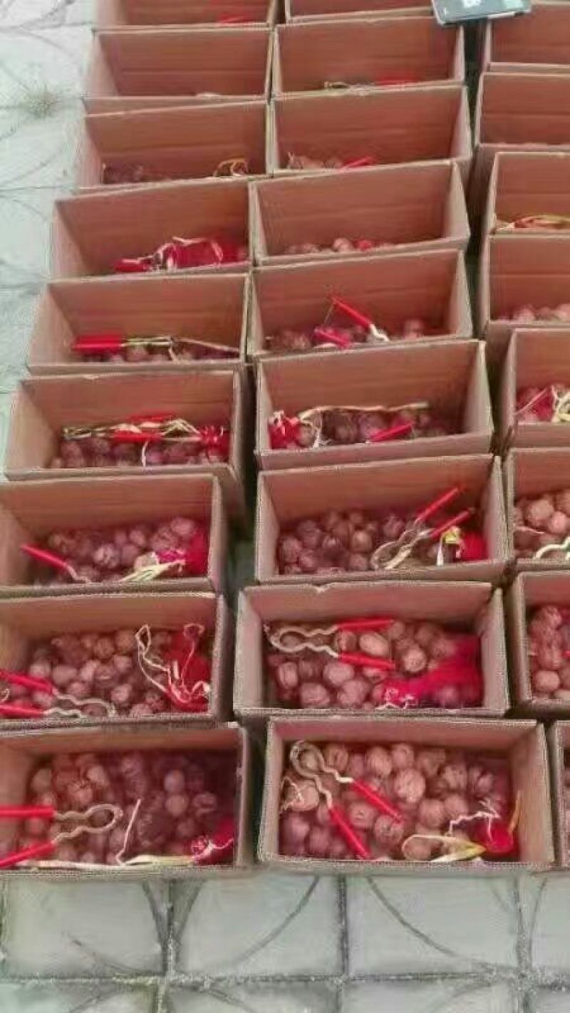 薄皮核桃30mm以上去皮干